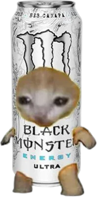A cat in a can of Monster Ultra